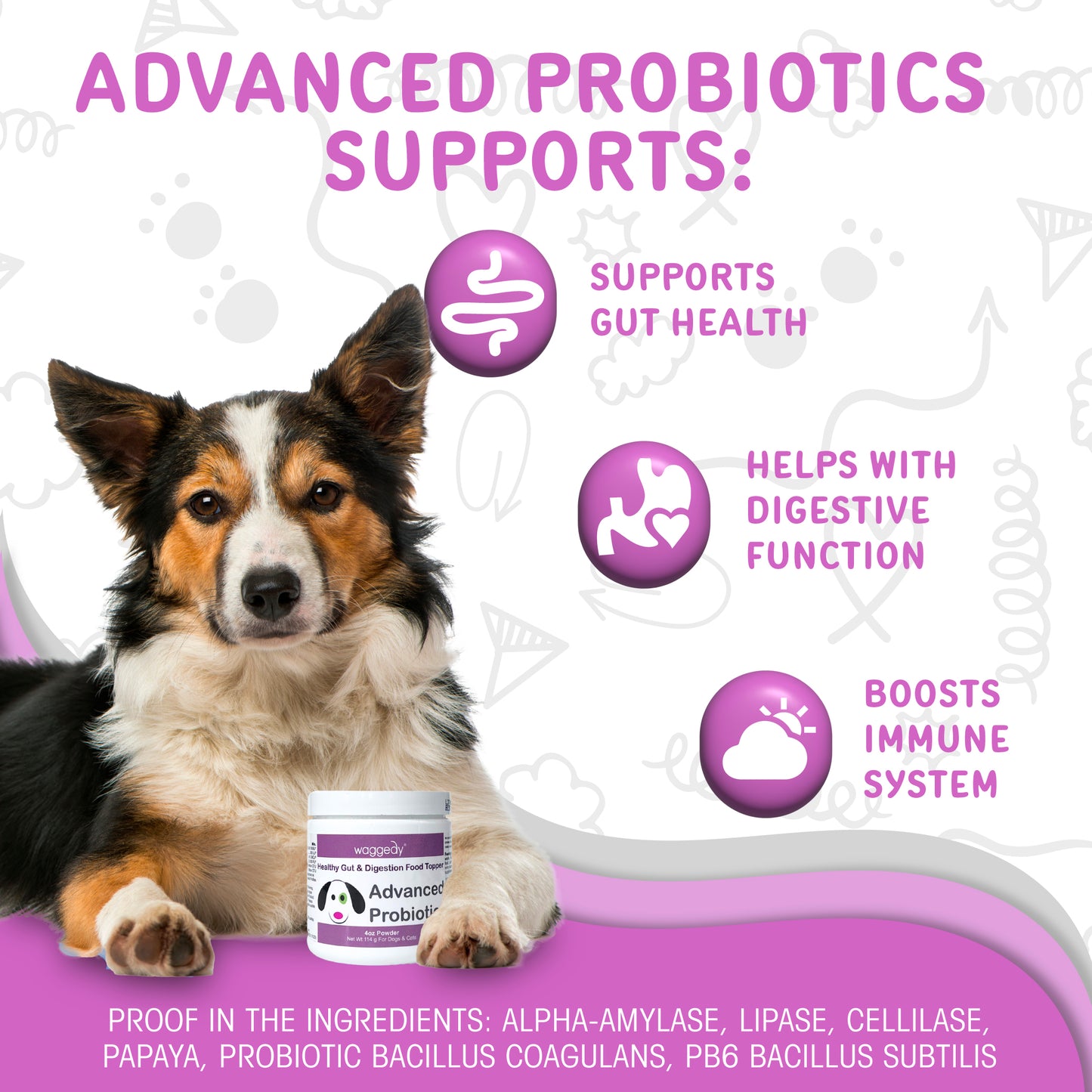 Advanced Probiotics