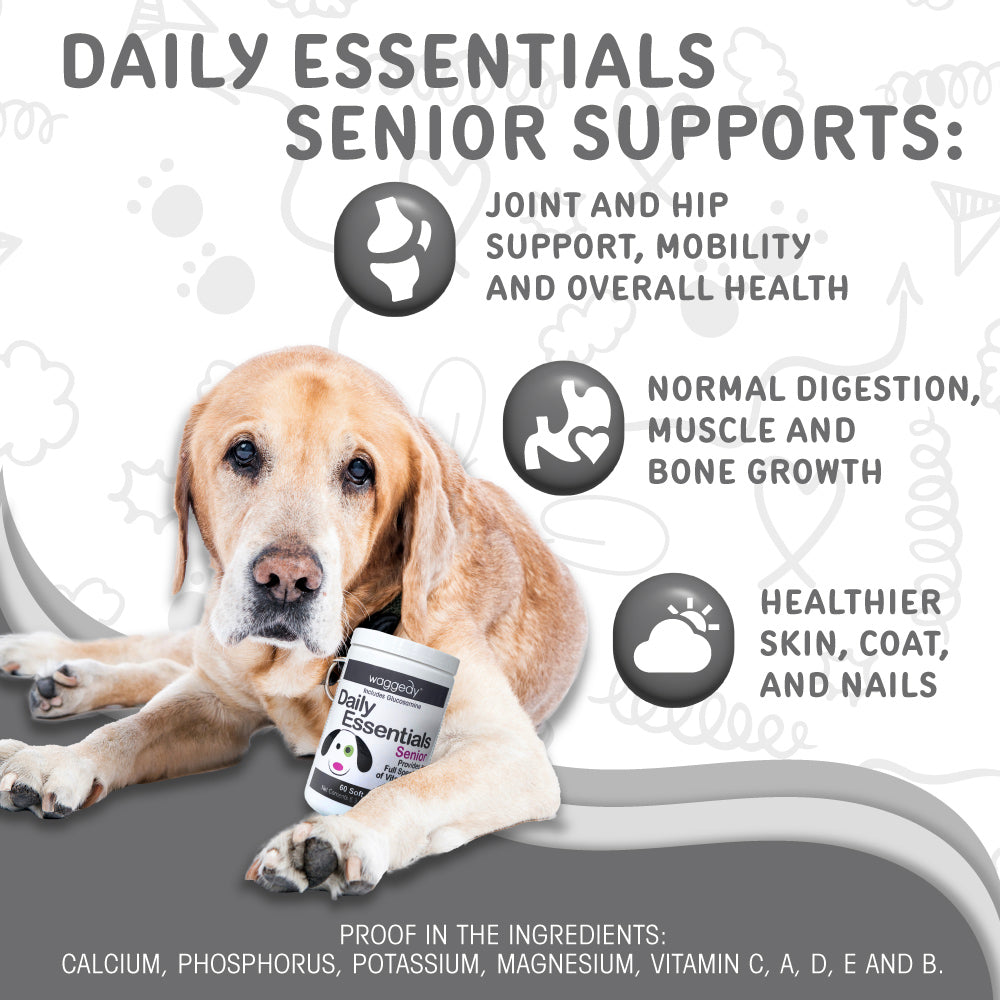 Daily Essentials Senior