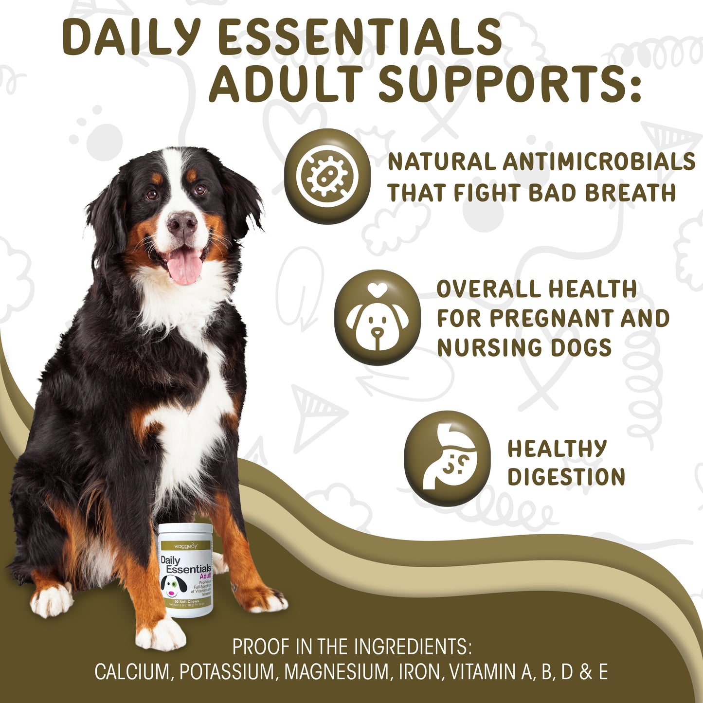 Daily Essentials Adult