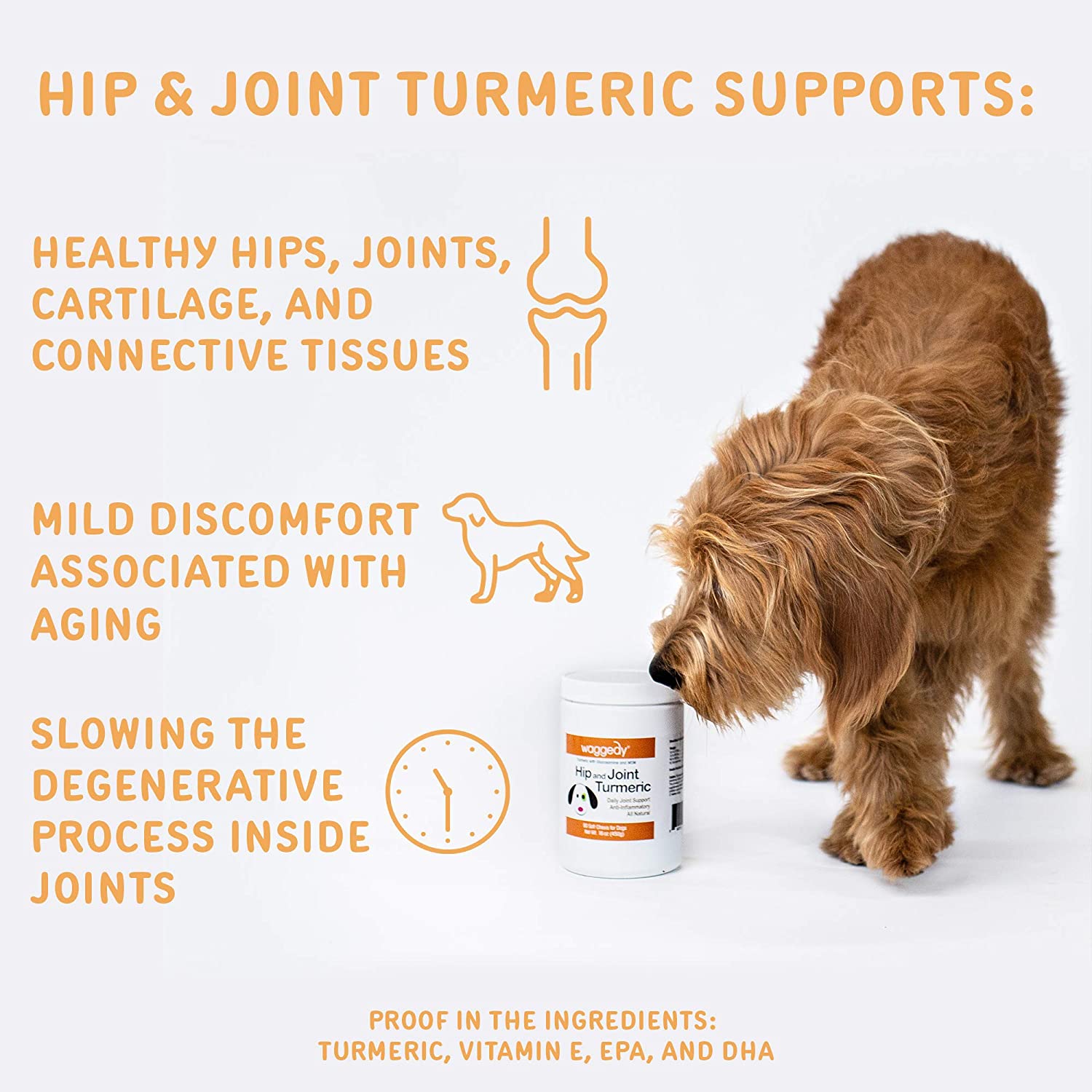 Hip and Joint Turmeric