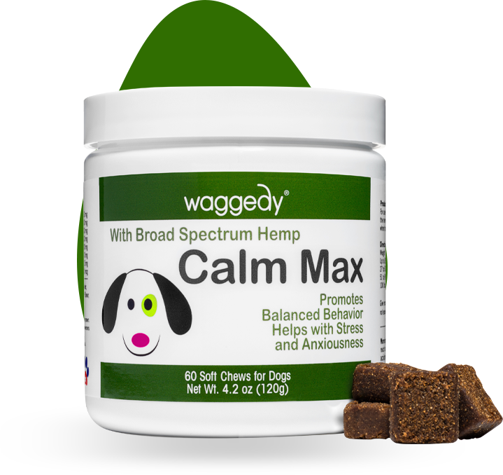 Dog treats sales that calm dogs