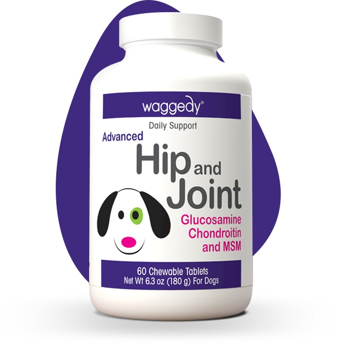 Advanced hip and joint for dogs hotsell