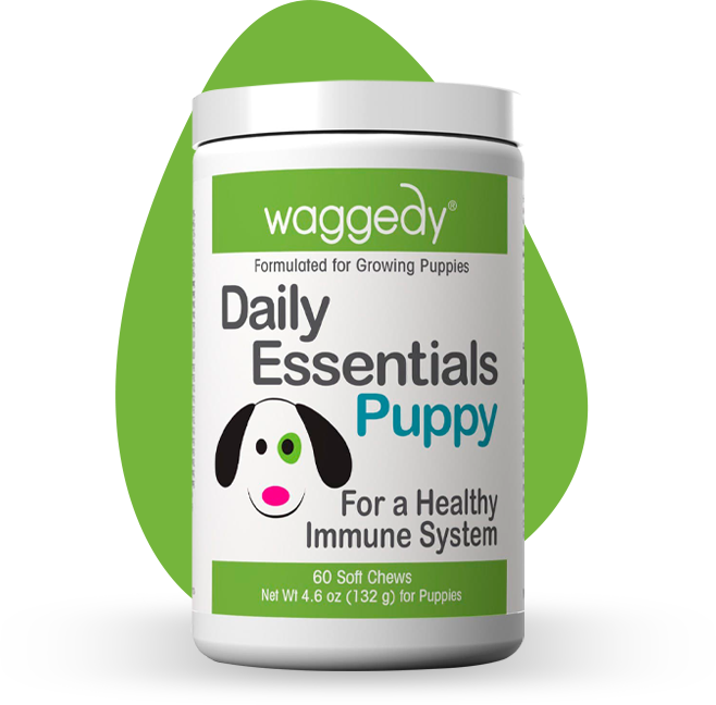 Vet essentials puppy hot sale