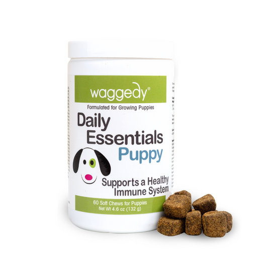 Daily Essentials Puppy