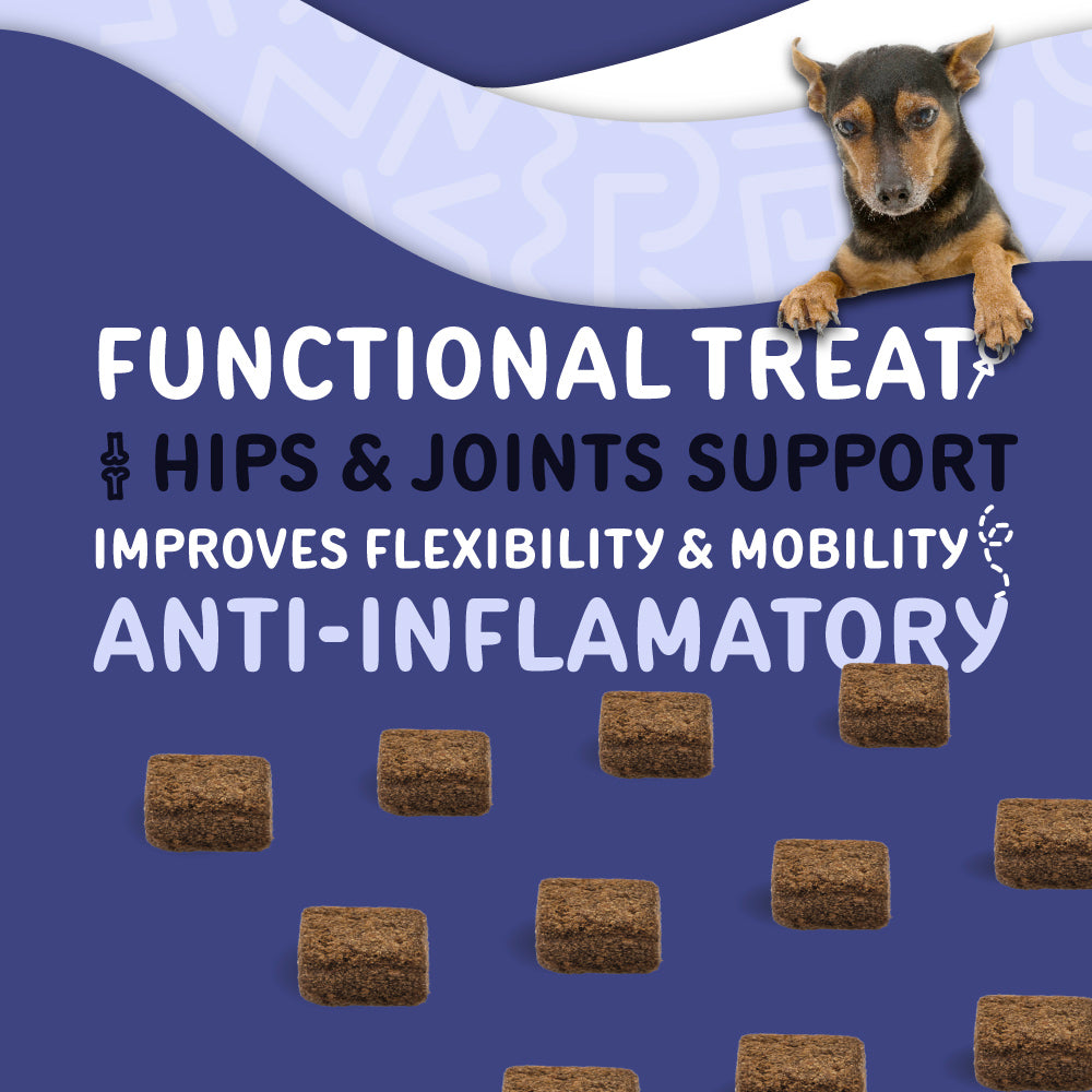 Hip treats for dogs best sale