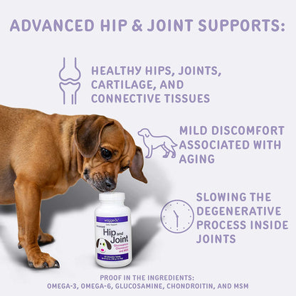 Advanced Hip and Joint